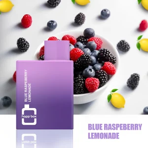 Bulk Wholesale HAPP Box 800 Puffs Disposable Vape Device 10pcs/Pack- Blue Raspeberry Lemonade