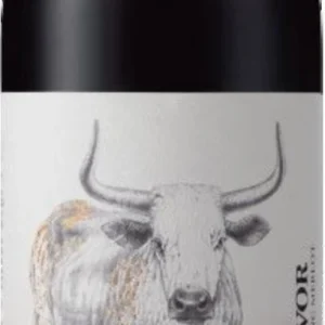 Survivor Cellar Master Cabernet Franc Merlot 2022