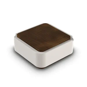 Vessel Ash Ashtray